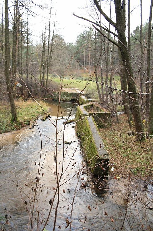 Rostoczek 11.2008 168